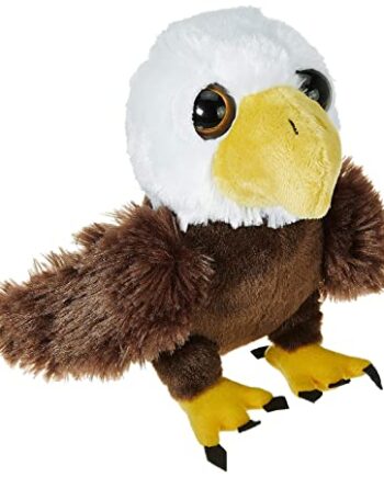 Animal Bright Eye Eagle Bald