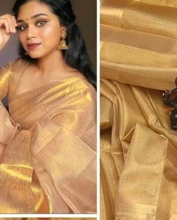 Woven Banarasi Tissue Saree | Kora satan boota silk